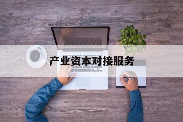 产业资本对接服务(产业资本对接服务包括哪些)许昌市